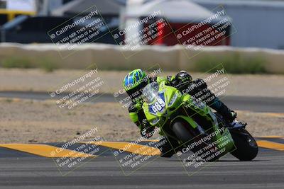 media/Mar-12-2023-SoCal Trackdays (Sun) [[d4c8249724]]/Turn 2 (1130am)/